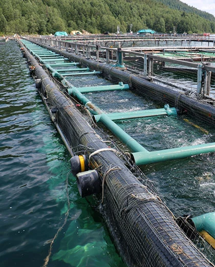Aquaculture and Fish Farming